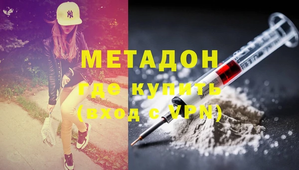 ПСИЛОЦИБИНОВЫЕ ГРИБЫ Горно-Алтайск