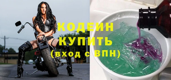 ПСИЛОЦИБИНОВЫЕ ГРИБЫ Горно-Алтайск