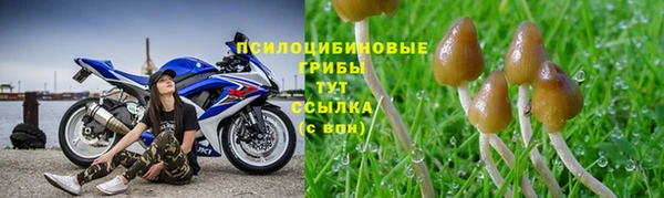 гидра Семилуки