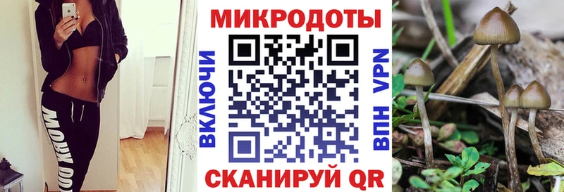 где купить наркотик Волжск Галлюциногенные грибы ЛСД