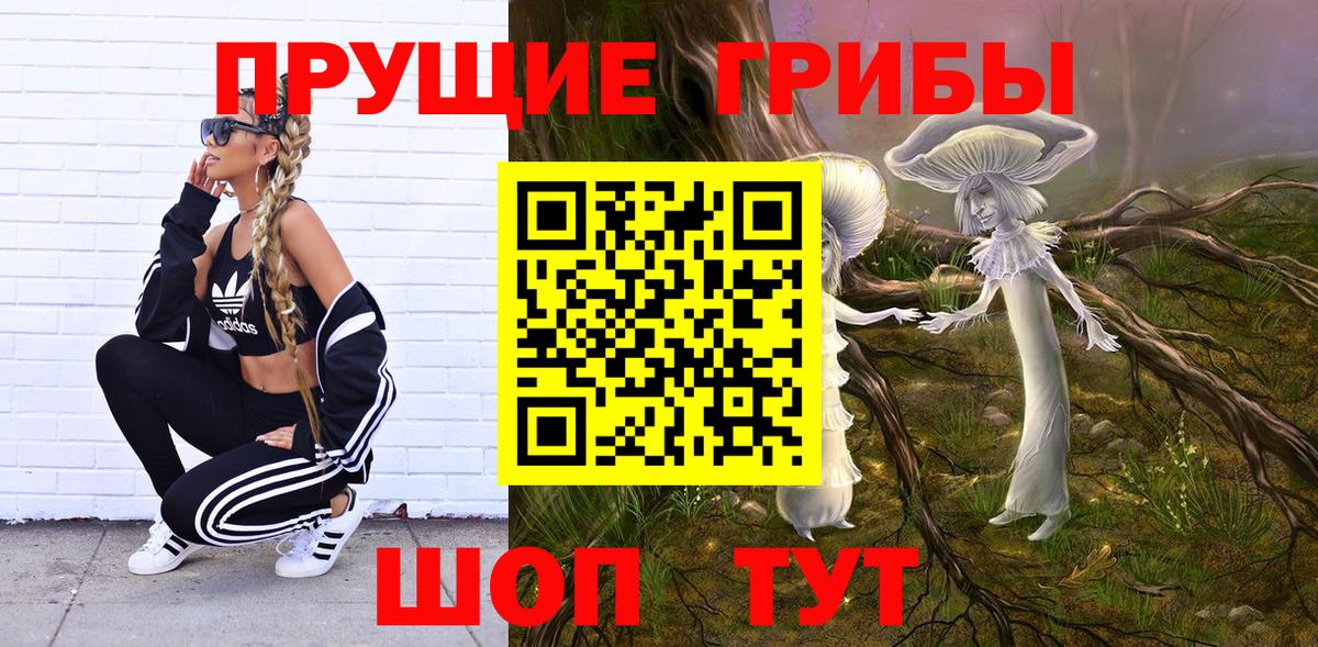 Псилоцибиновые грибы Magic Shrooms  Псилоцибиновые грибы Magic Shrooms  Вход с VPN  Волжск 