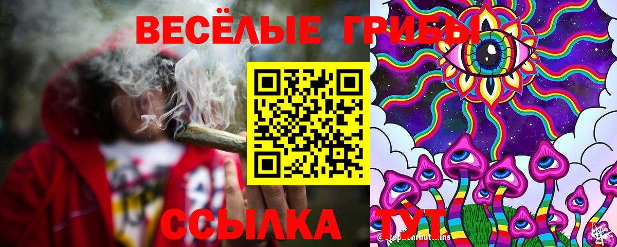 Псилоцибиновые грибы прущие грибы  Волжск 