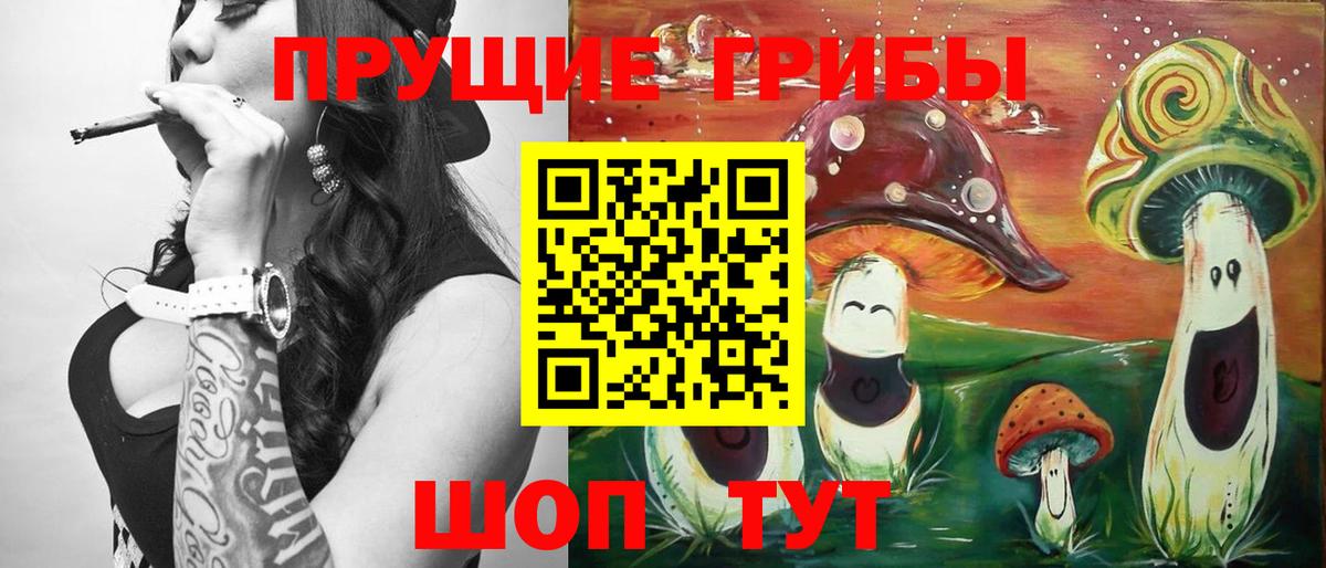 Псилоцибиновые грибы Cubensis Волжск