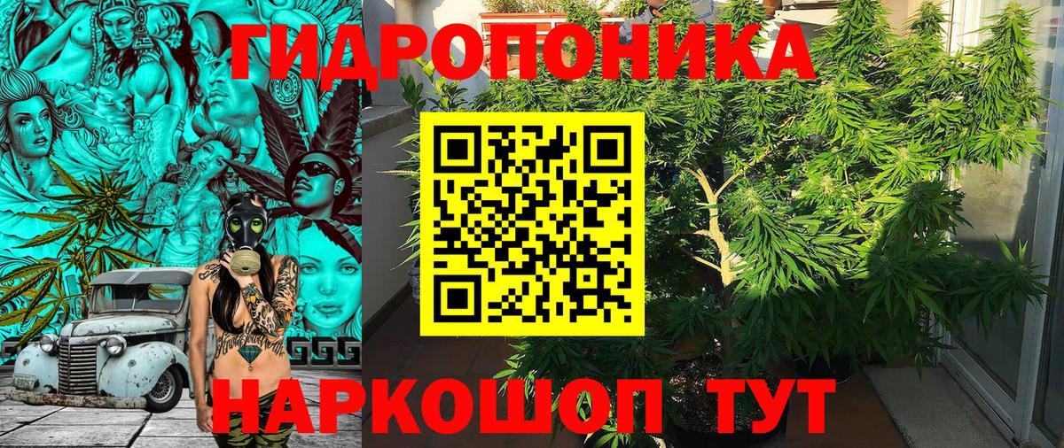 Конопля индика  Бошки марихуана MAZAR  Волжск  Канабис индика  Вход с VPN  Шишки марихуана тримм 